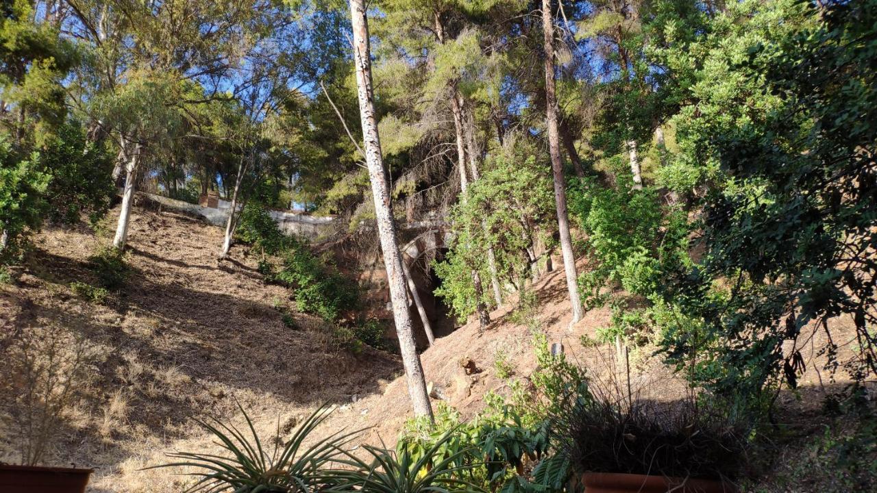 Appartamento Casa del Árbol Málaga Esterno foto